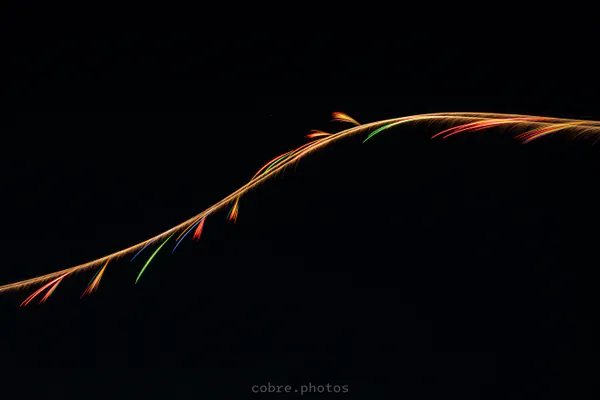 ✈️ AirVenture Oshkosh