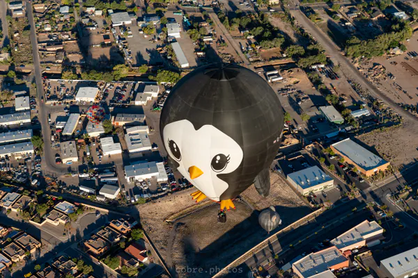 🎈 Albuquerque International Balloon Fiesta