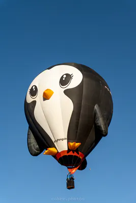 🎈 Albuquerque International Balloon Fiesta