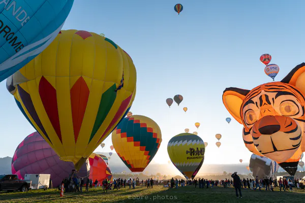 🎈 Albuquerque International Balloon Fiesta