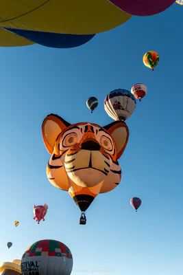 🎈 Albuquerque International Balloon Fiesta