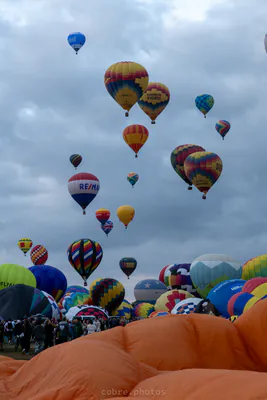 🎈 Albuquerque International Balloon Fiesta