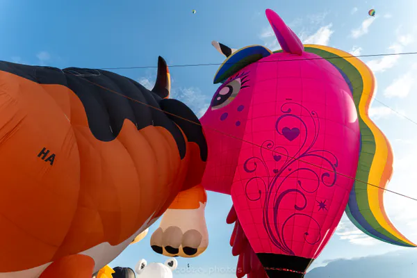 🎈 Albuquerque International Balloon Fiesta
