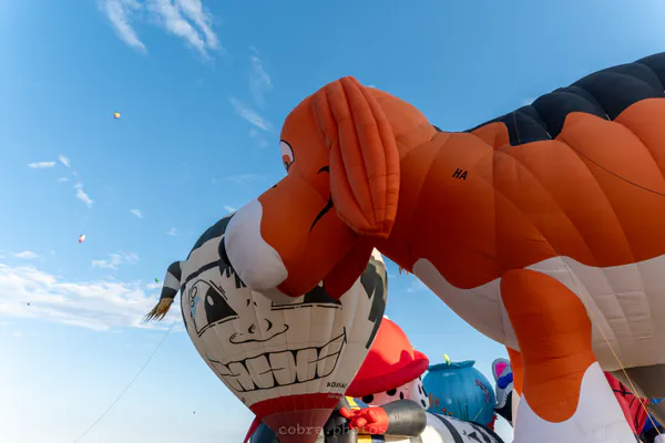 🎈 Albuquerque International Balloon Fiesta