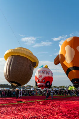 🎈 Albuquerque International Balloon Fiesta