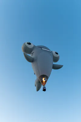 🎈 Albuquerque International Balloon Fiesta