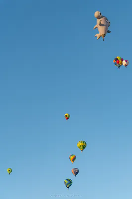 🎈 Albuquerque International Balloon Fiesta
