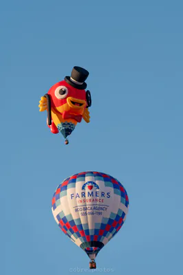🎈 Albuquerque International Balloon Fiesta
