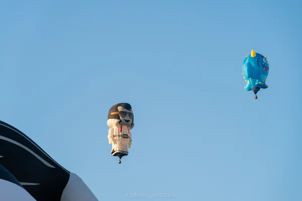 🎈 Albuquerque International Balloon Fiesta