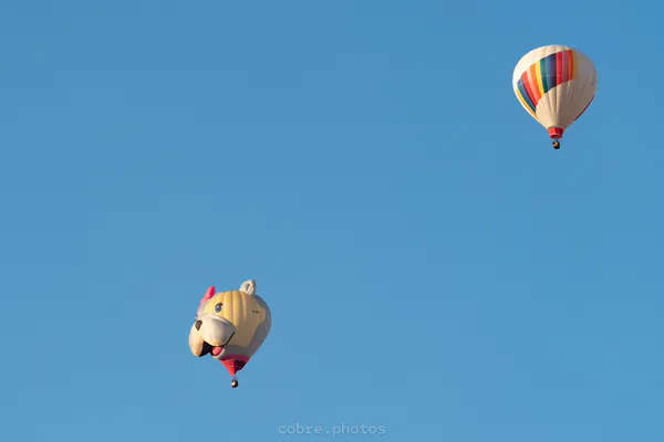 🎈 Albuquerque International Balloon Fiesta