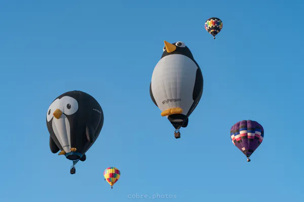 🎈 Albuquerque International Balloon Fiesta