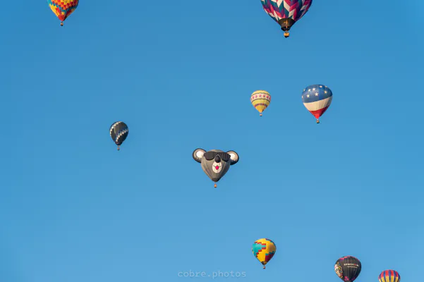🎈 Albuquerque International Balloon Fiesta