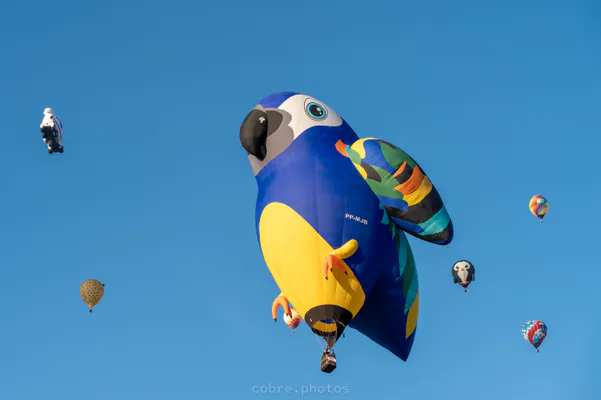 🎈 Albuquerque International Balloon Fiesta