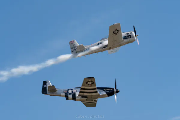 ✈️ Wings Over North Georgia