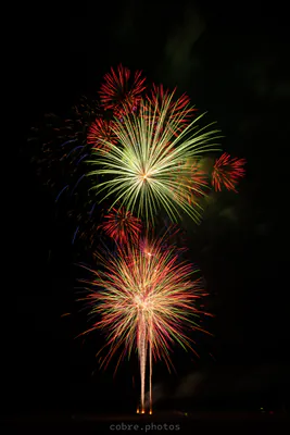 ✈️ Wings Over North Georgia