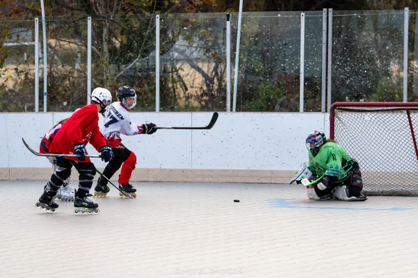 🏒 MHL Wildfire vs FCRHL Rec Nets