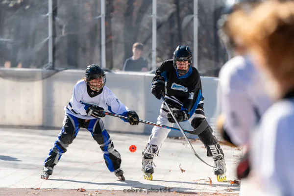 🏒 MHL 30th Anniversary Alumni Game