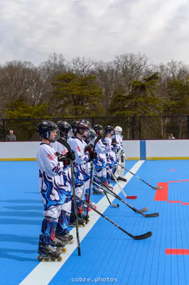 🏒 Madison Wildfire vs Fauquier Dragons