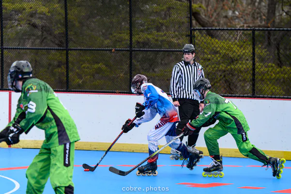 🏒 Madison Wildfire vs Fauquier Dragons