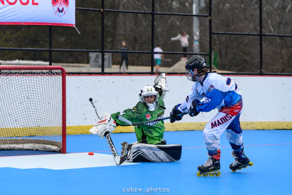 🏒 Madison Wildfire vs Fauquier Dragons