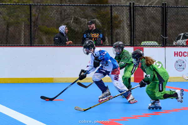 🏒 Madison Wildfire vs Fauquier Dragons