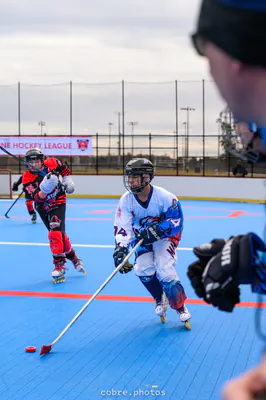 🏒 Madison Wildfire vs Fredericksburg Phantoms